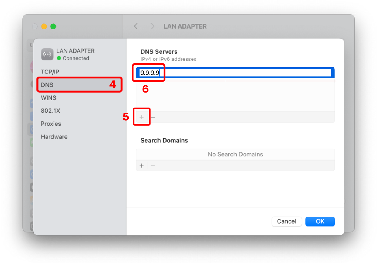 Mac Network DNS Settings