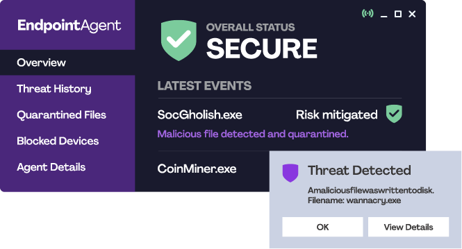 Endpoint protection agent screenshot